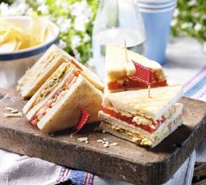 Zan Special Sandwich