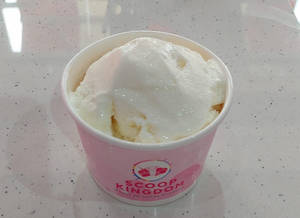 Vanilla Ice Cream