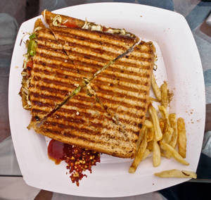 Veg cheese grilled sandwich