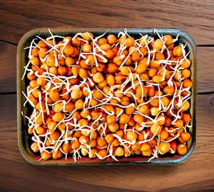 Sprouts Chana
