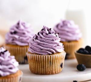 Blueberry Cupcake  Pack Of 2