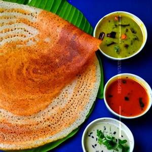 Mysore Plain Dosa 