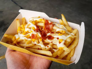 The Best Cheesy Fries