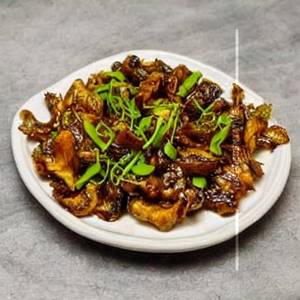 Crispy Spring Mushroom 