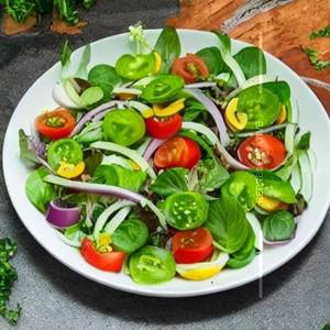 Veg Garden Fresh Green Salad