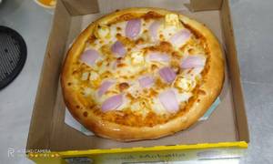 Paneer And Onion Pizza