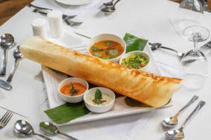 Anna Paper Plain Dosa