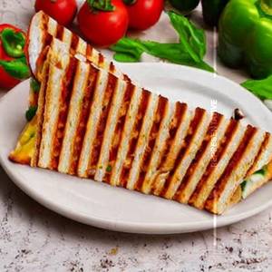 Spicy veg panini sandwich