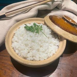 Steamed Jasmine Rice