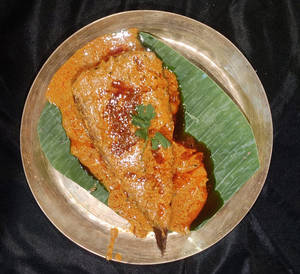 Chitol Peti(1pcs)