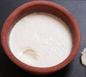 Plain Dahi