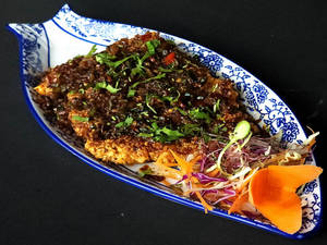 Phuket Fish