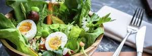 Garden Fresh Green Salad