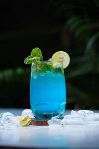 Mint Jungle