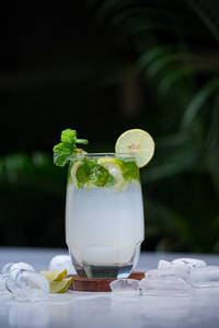 Virgin Mojito