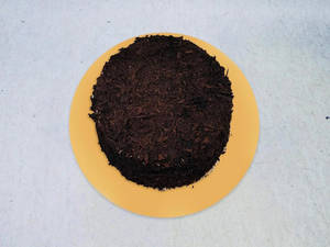 Chocolate Truffle Cake []