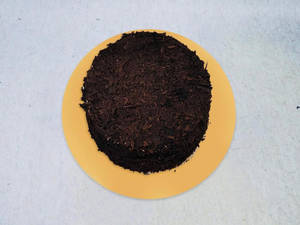 Chocolate Truffle Cake