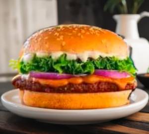 Classic Crispy Fries Burger