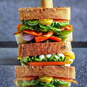 Veg Cheese Grilled Sanduich