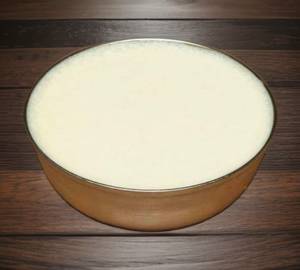 Plain Curd