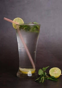 Mint Mojito