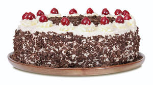 Chocolate cream Cake