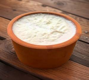 Plain Curd