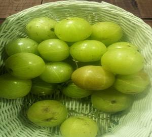 Amla