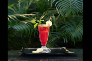 Watermelon Mojito