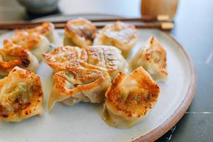 Chicken pan fried wanton