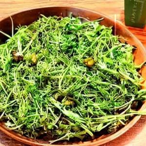 Sprout