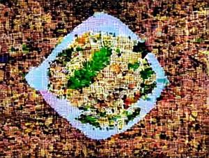 Veg Biryani