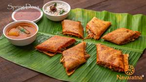 Spring Dosa