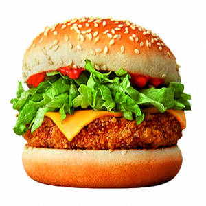 Spicy Burgur