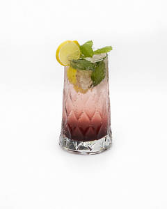 Kokum Cumin Mojito