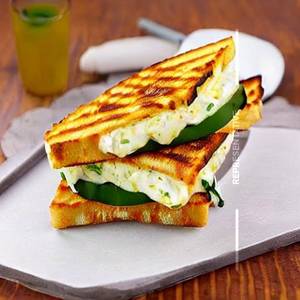 Paneer Cheese Grilled Sandwich