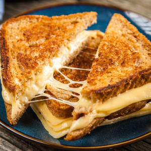 Veg Cheese Grill Sandwich