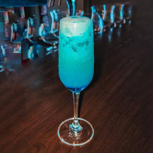Tropical Mimosa