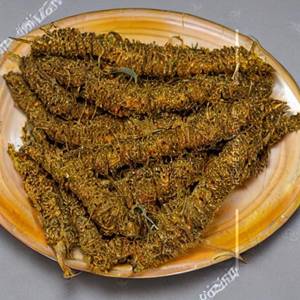 Tilopia Fry