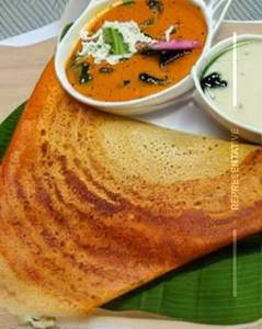 Cheese Mysore Sada Dosa