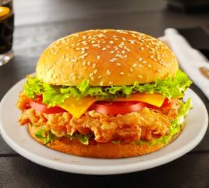 Chicken Burger                  