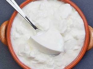 Curd
