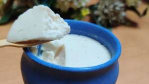 Extra Curd
