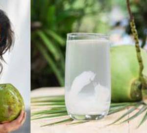 Tender Coconut Pure Coconut Water Only (Large)
