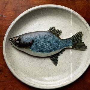 Apollo Fish