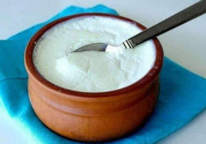 Plain Curd