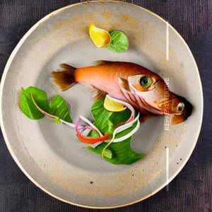 Apollo Fish