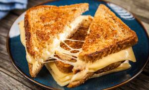 Veg cheese sandwich