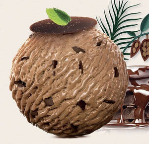 Belgium Chocolate Ice Cream