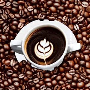 Java Mocha